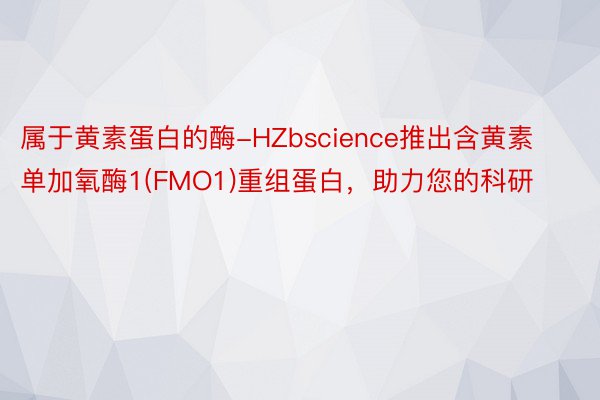 属于黄素蛋白的酶-HZbscience推出含黄素单加氧酶1(FMO1)重组蛋白，助力您的科研